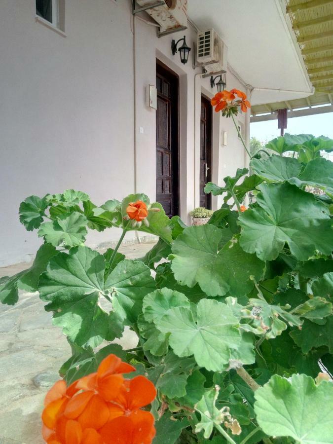 Εmmi Apartamento Koutsounári Exterior foto