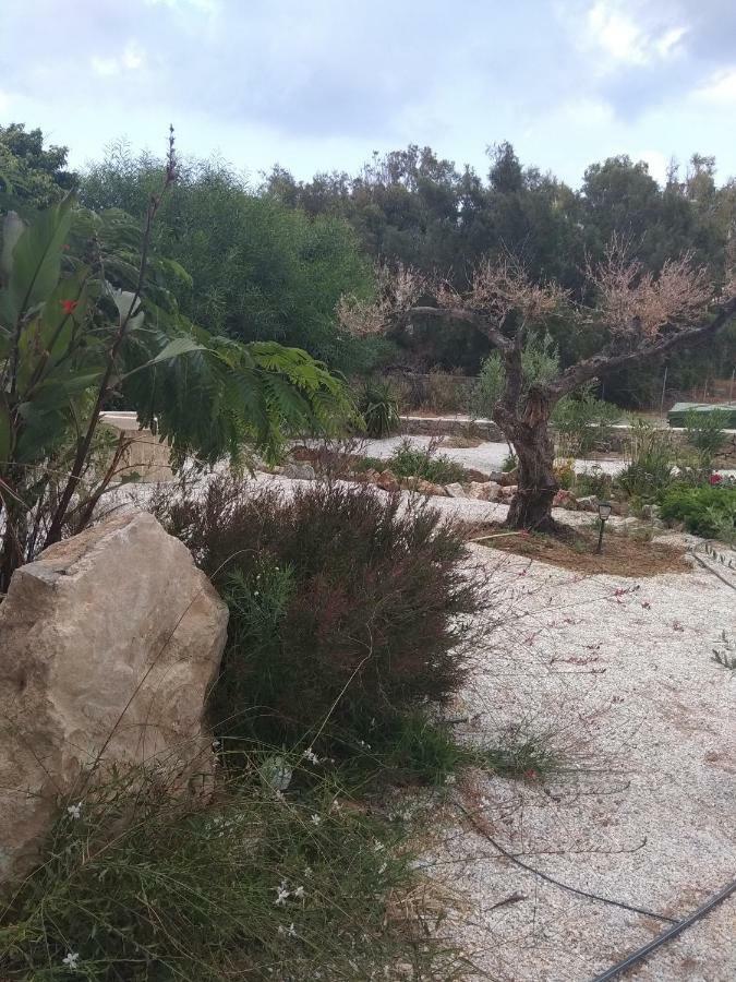 Εmmi Apartamento Koutsounári Exterior foto